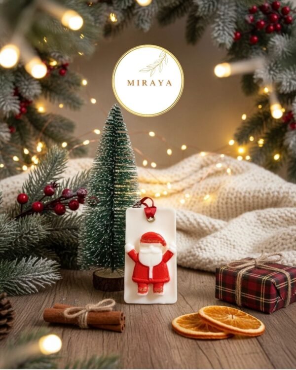 Santa Sachet
