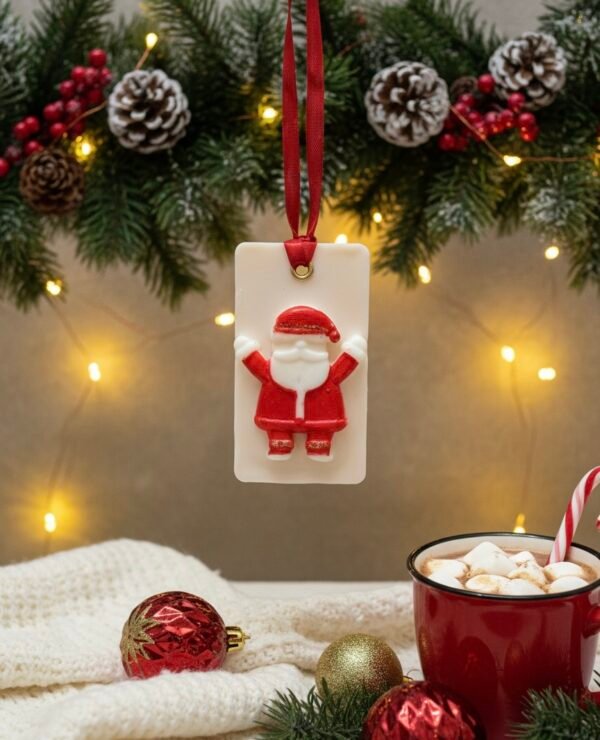 Santa Sachet